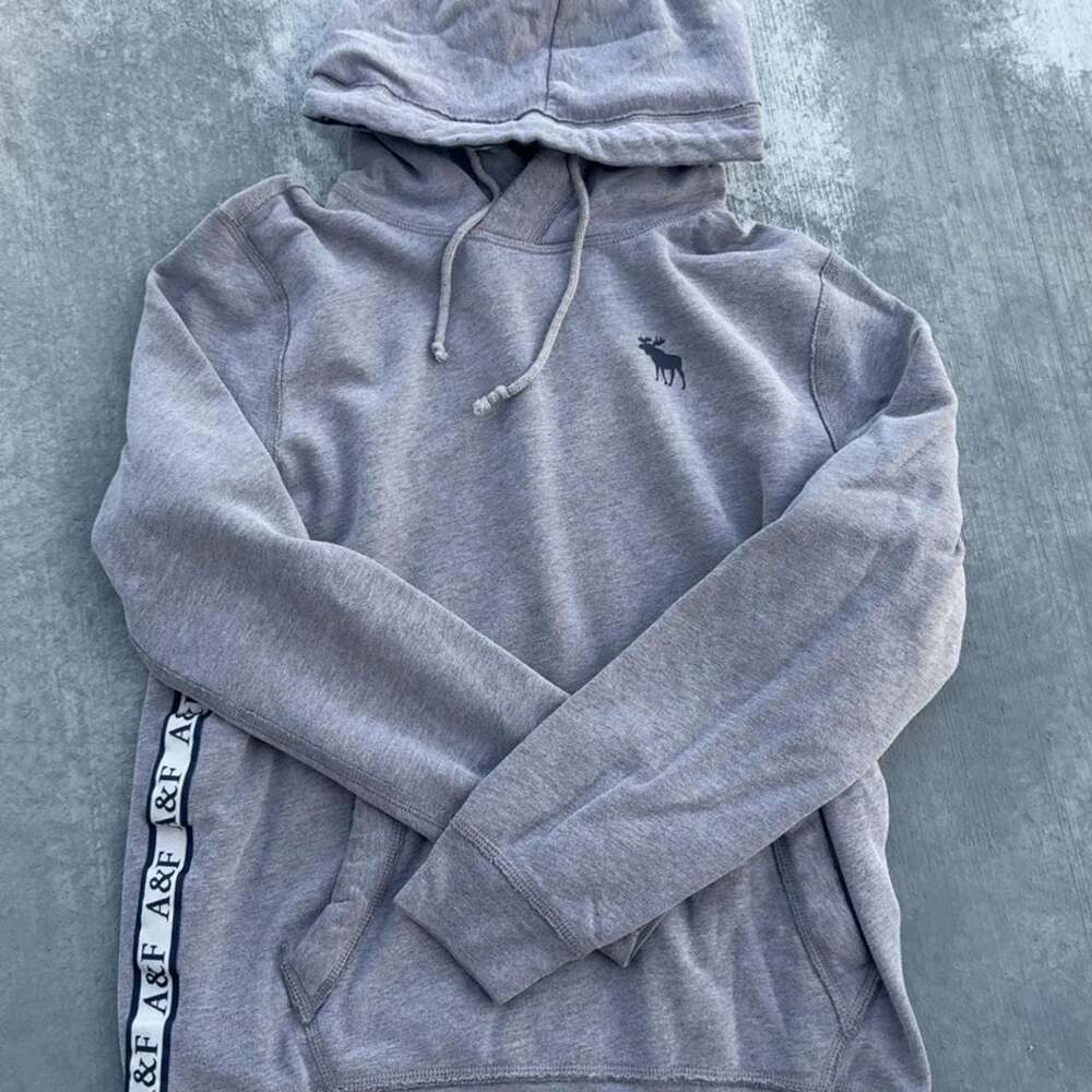 Abercrombie & Fitch Moose Logo Pullover Hoodie